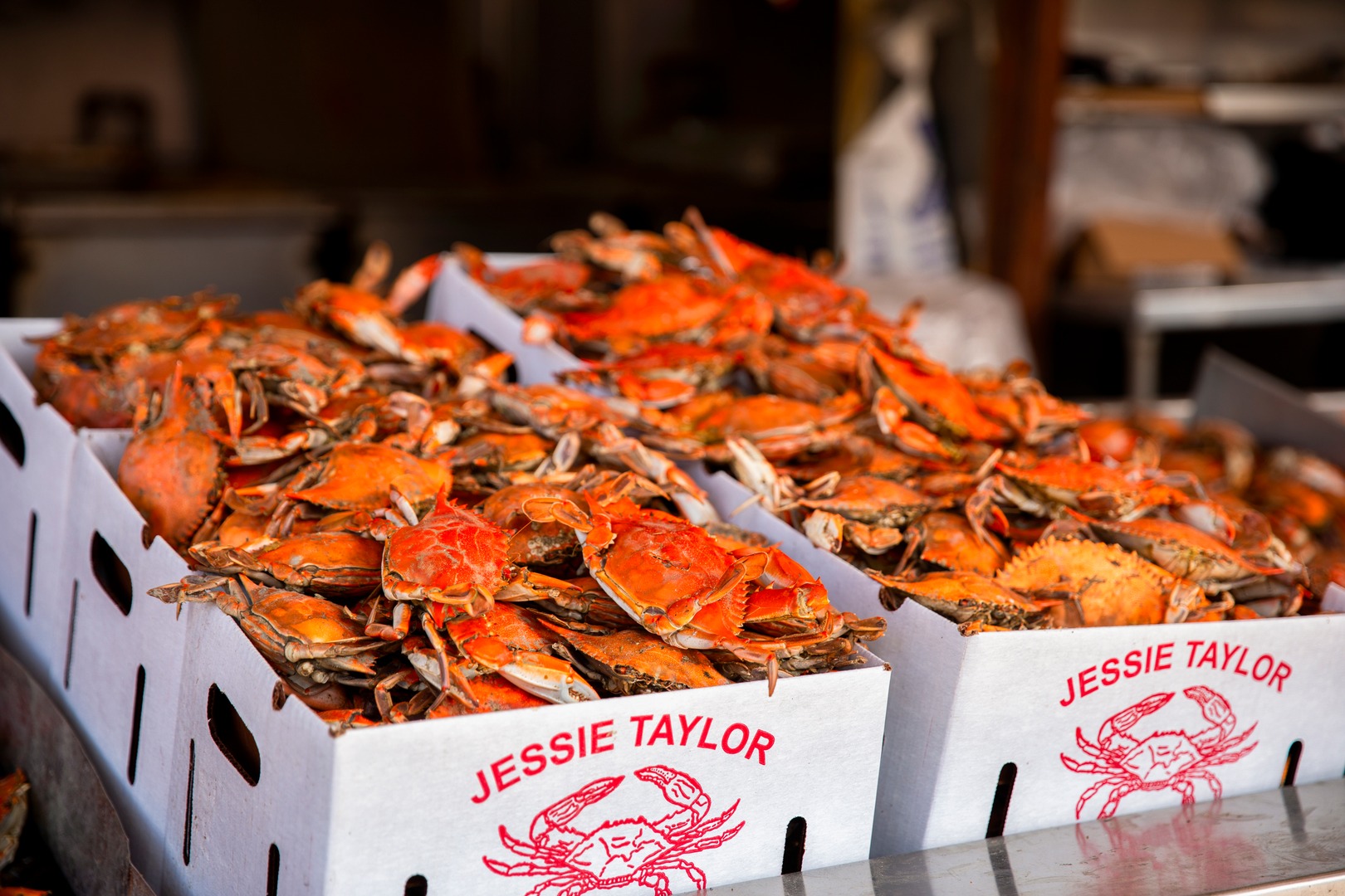 crabs